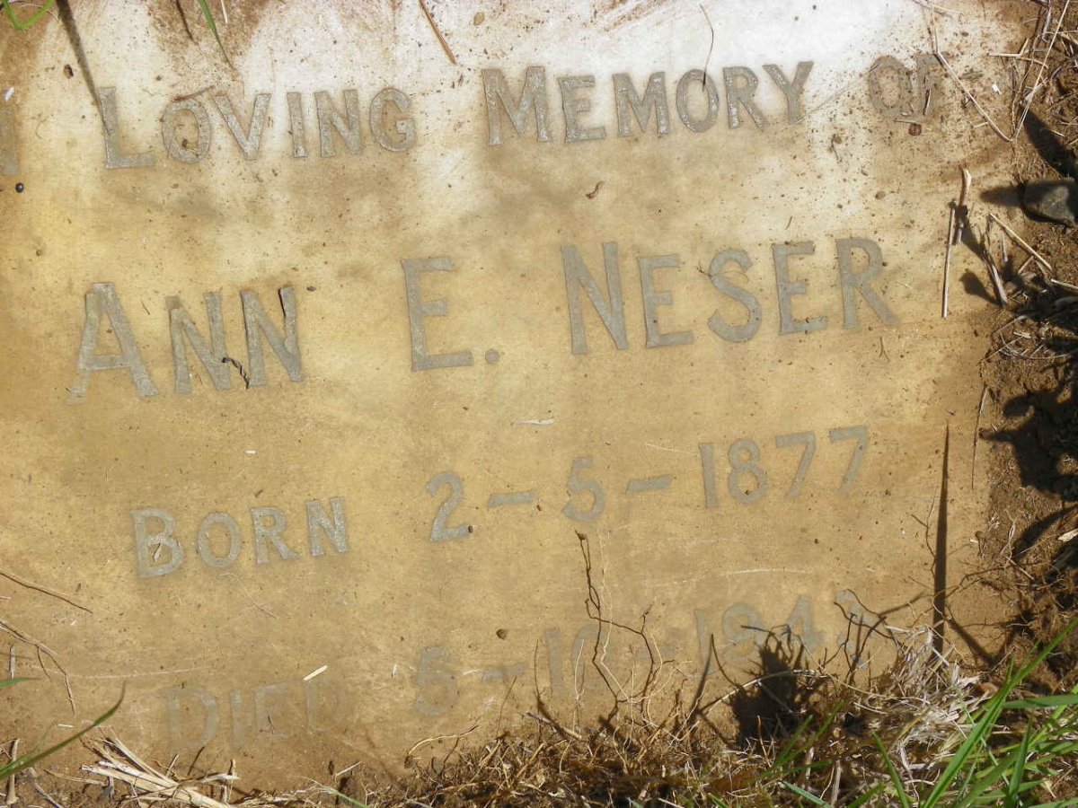 NESER Ann E. 1877-1943