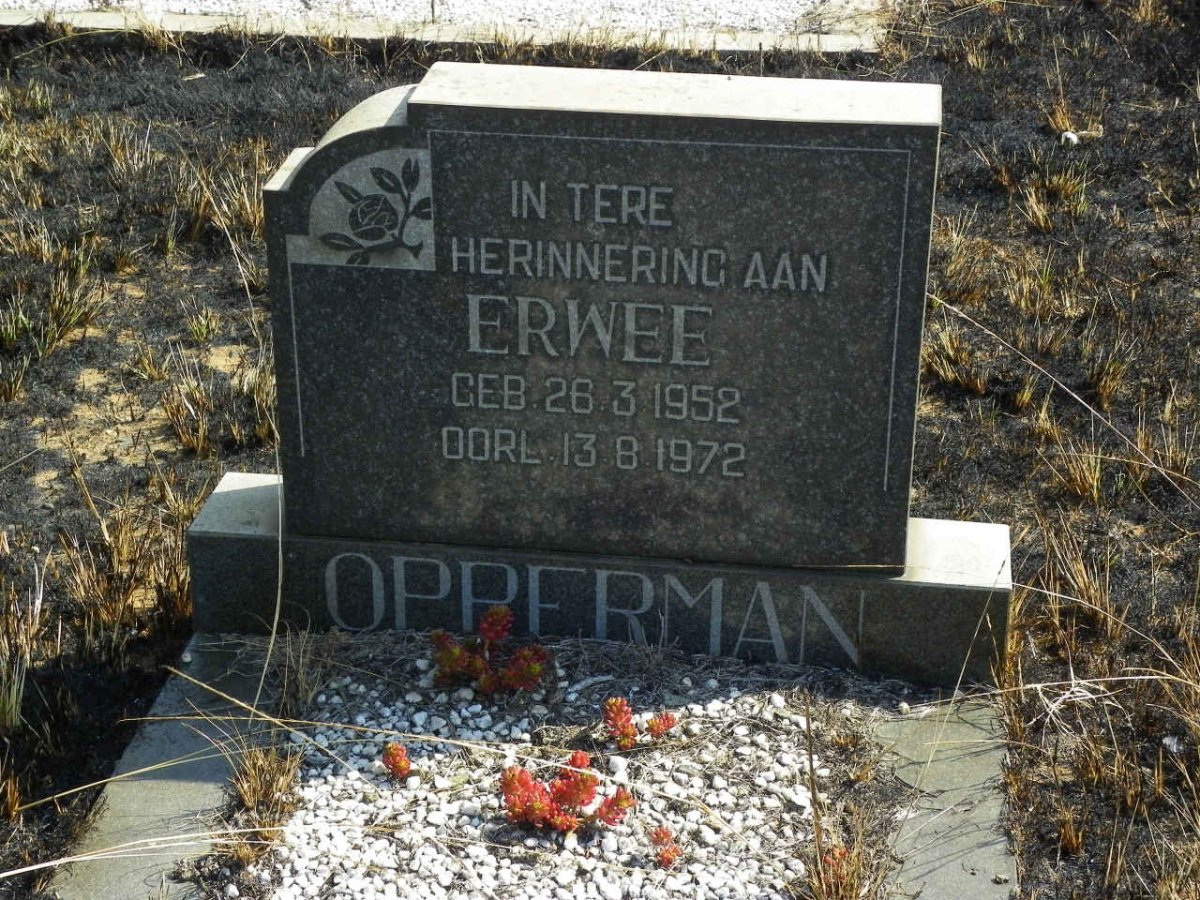 OPPERMAN Erwee 1952-1972