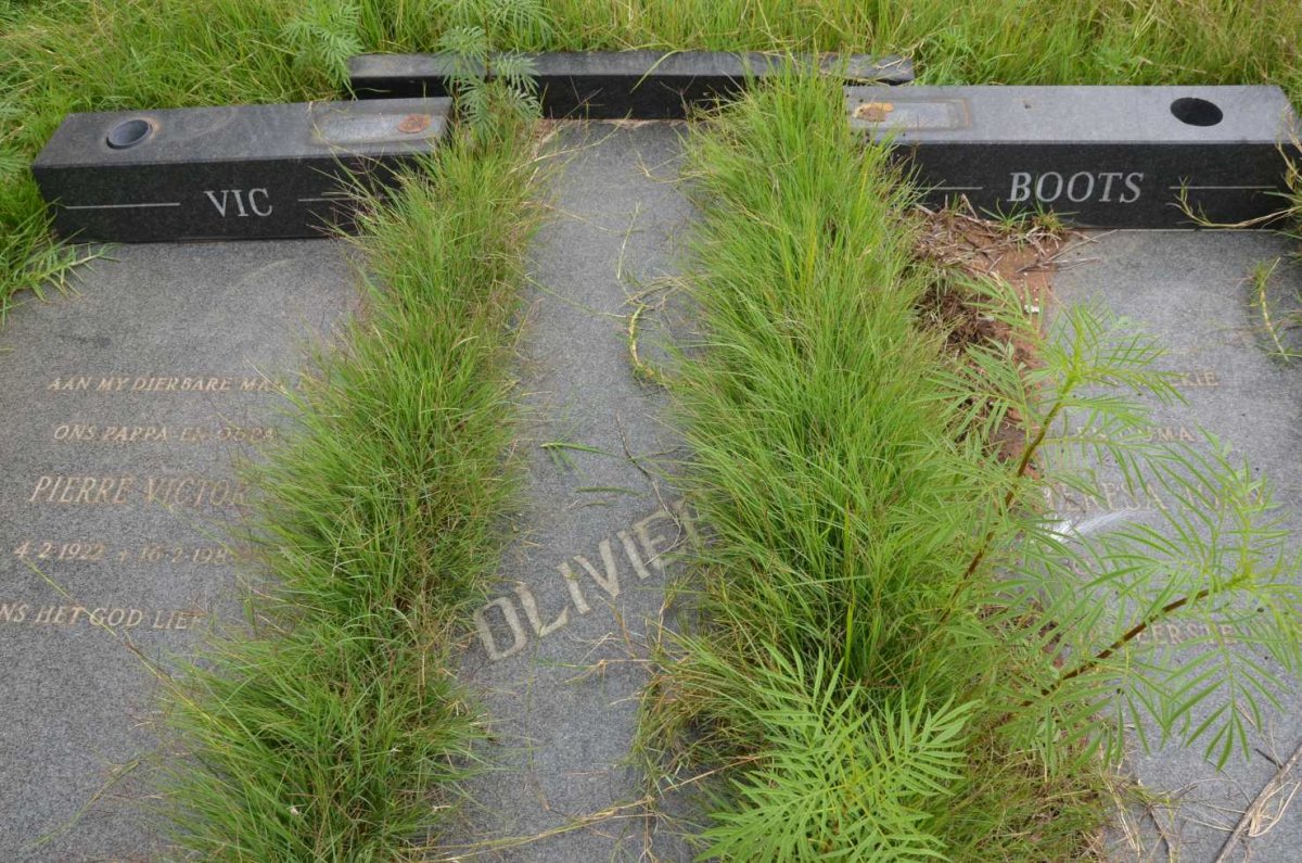 OLIVIER Pierre Victor 1922-1984 &amp; Teresa Joan 1930-