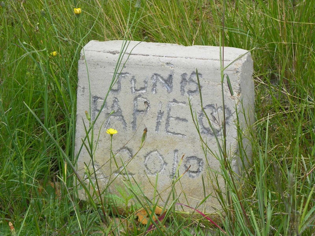 ? Junis -2010