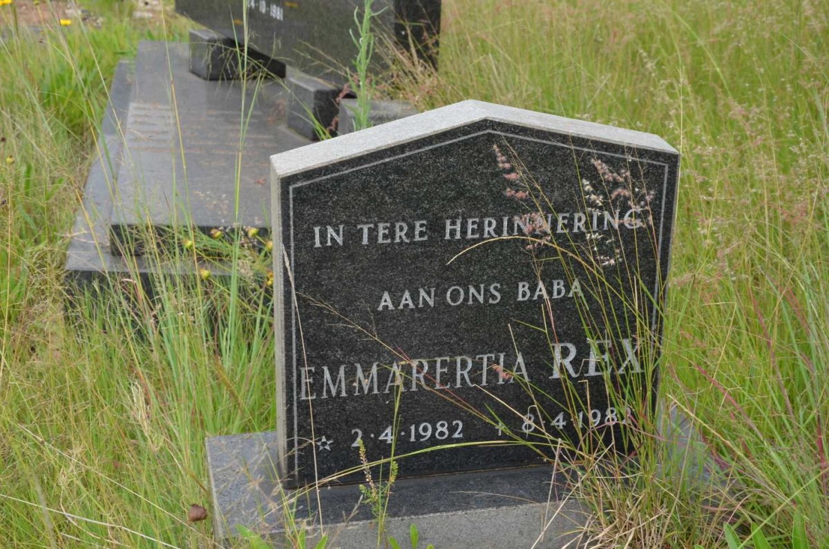 REX Emmarertia 1982-1982