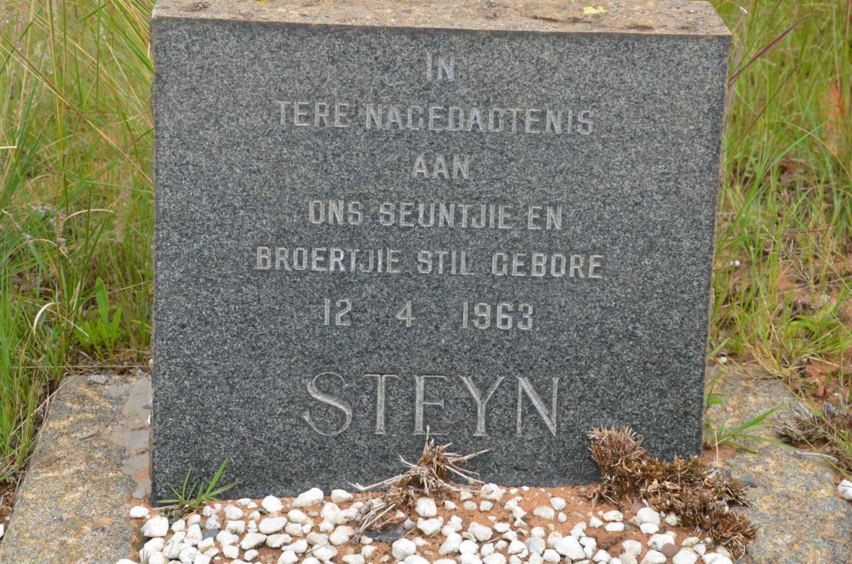 STEYN 1963-1963