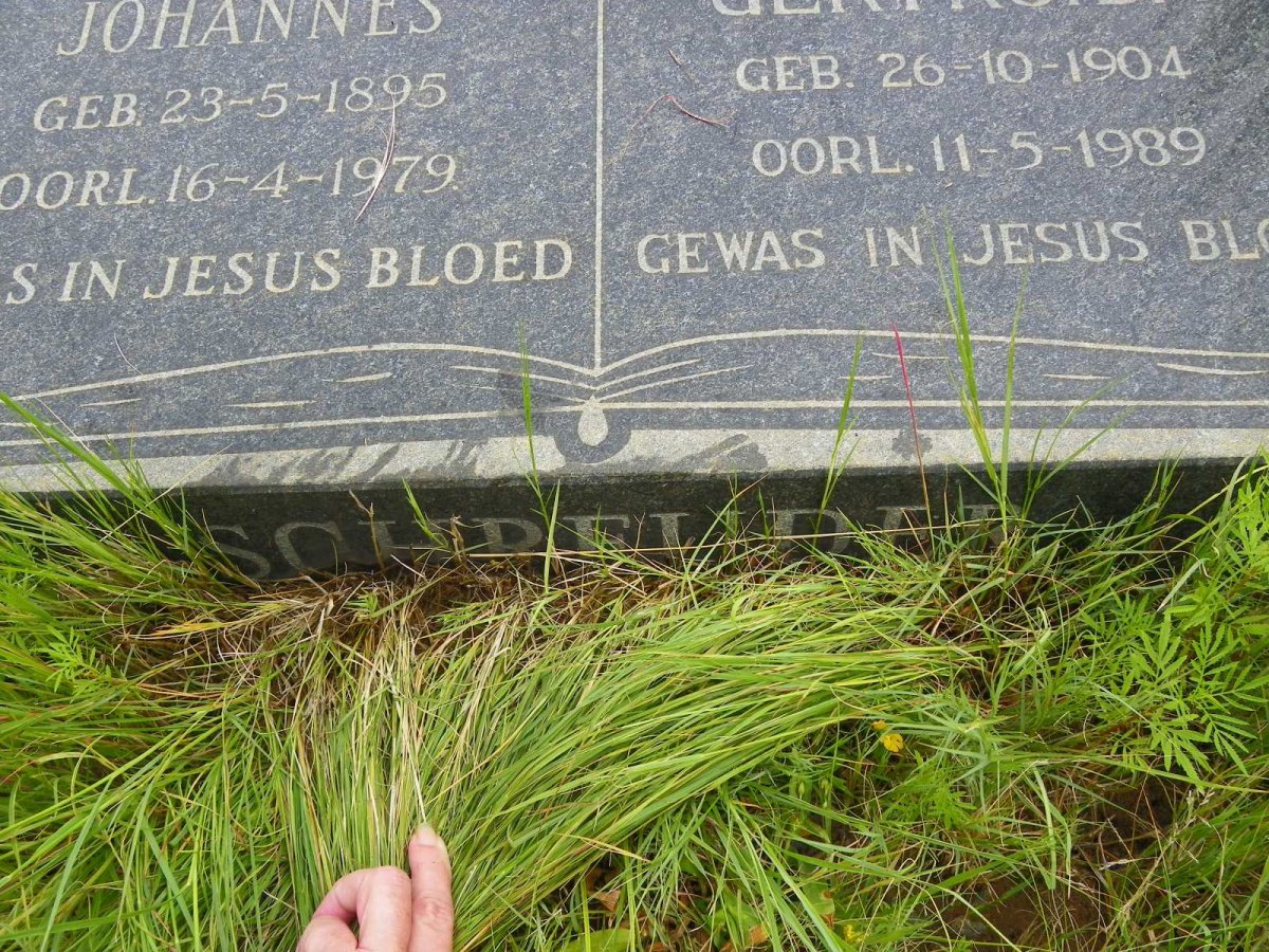 SCHREUDER Hendrik Johannes 1895-1979 &amp; Catharina Gertruida 1904-1989
