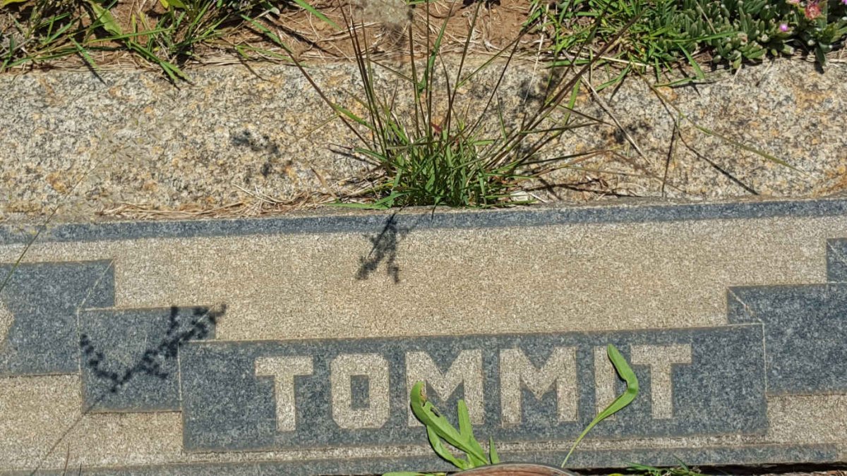TOMMIT