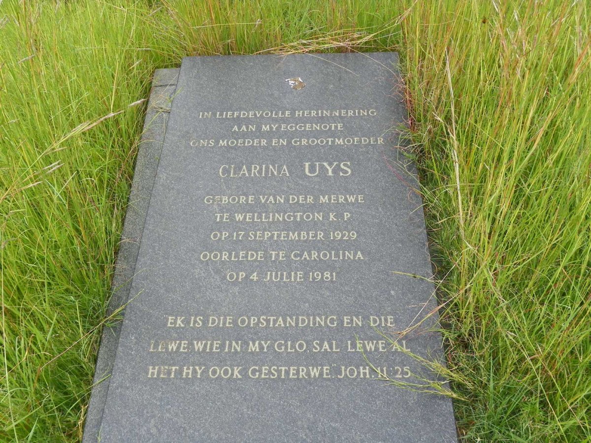 UYS Clarina nee VAN DER MERWE 1929-1981