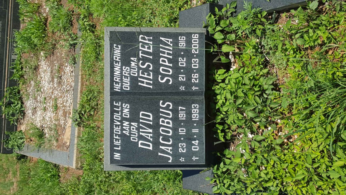 VILJOEN David Jacobus 1917-1993 &amp; Hester Sophia 1916-2006