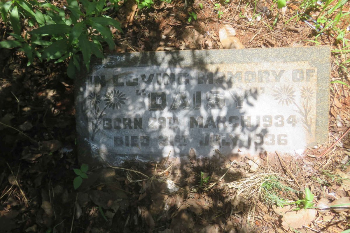 ? Daisy 1934-1936