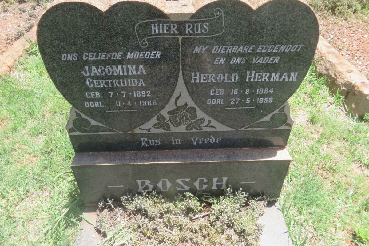 BOSCH Herold Herman 1884-1959 &amp; Jacomina Gertruida 1892-1966