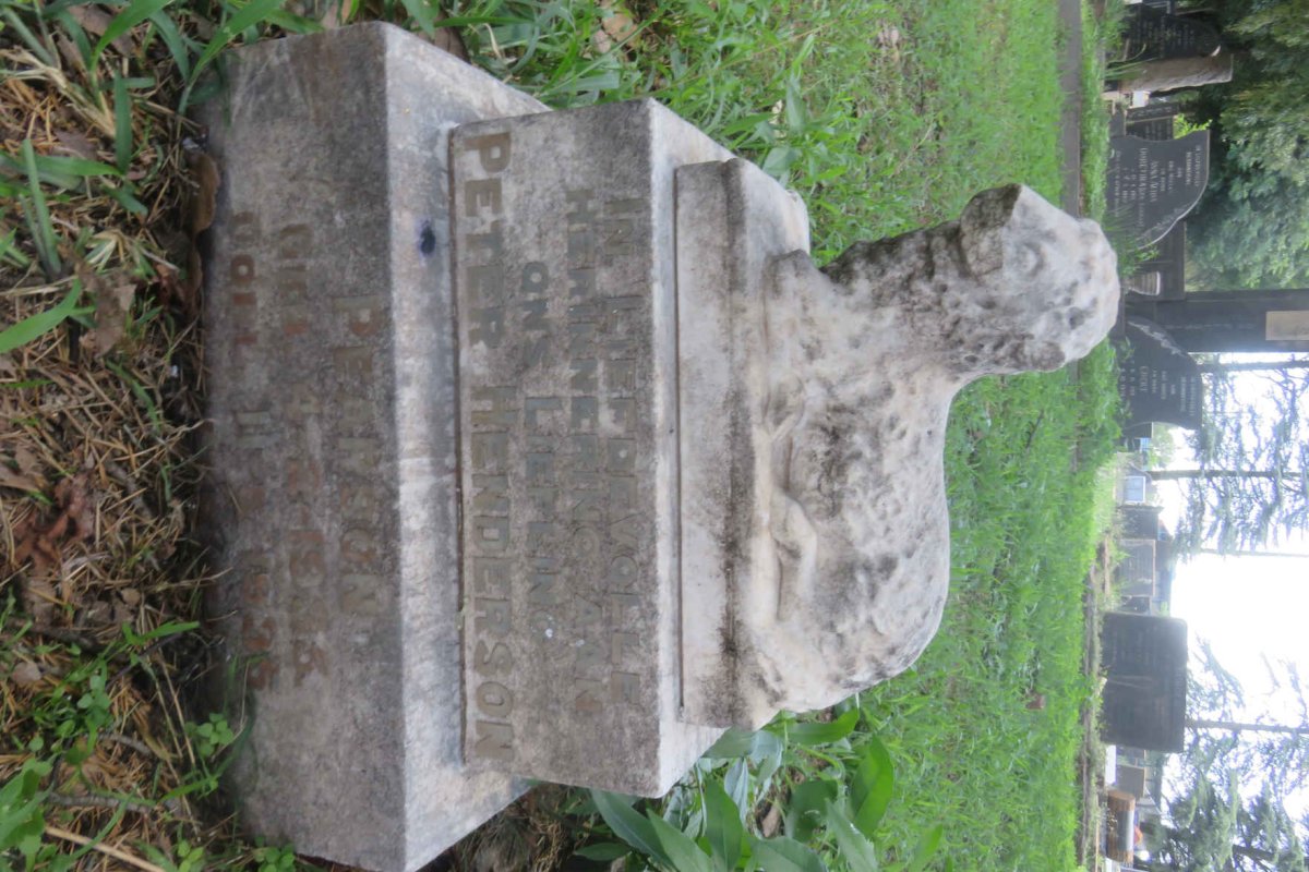 HENDERSON Peter 1935-1935