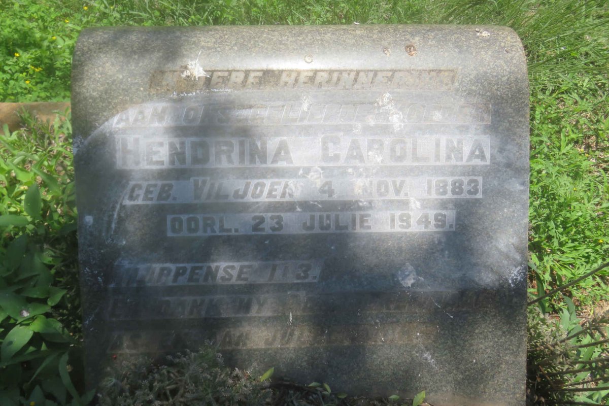 NIEUWENHUIZEN Hendrina Carolina, van nee VILJOEN 1883-1949