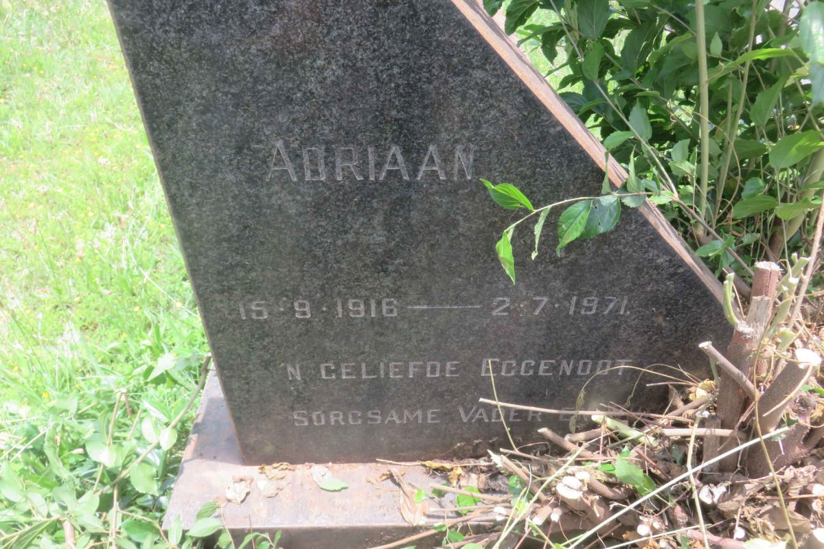 NIEKERK Adriaan, van 1916-1971 _2