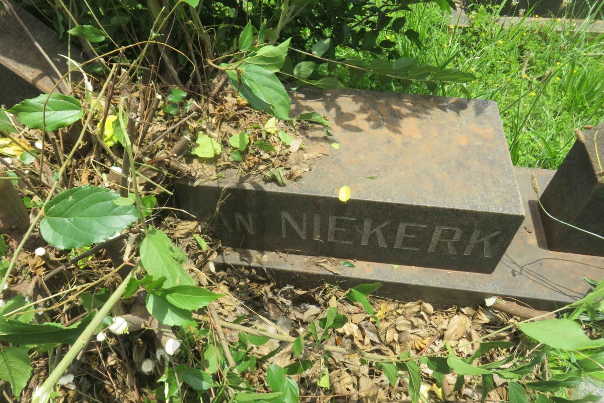 NIEKERK Adriaan, van 1916-1971 _1