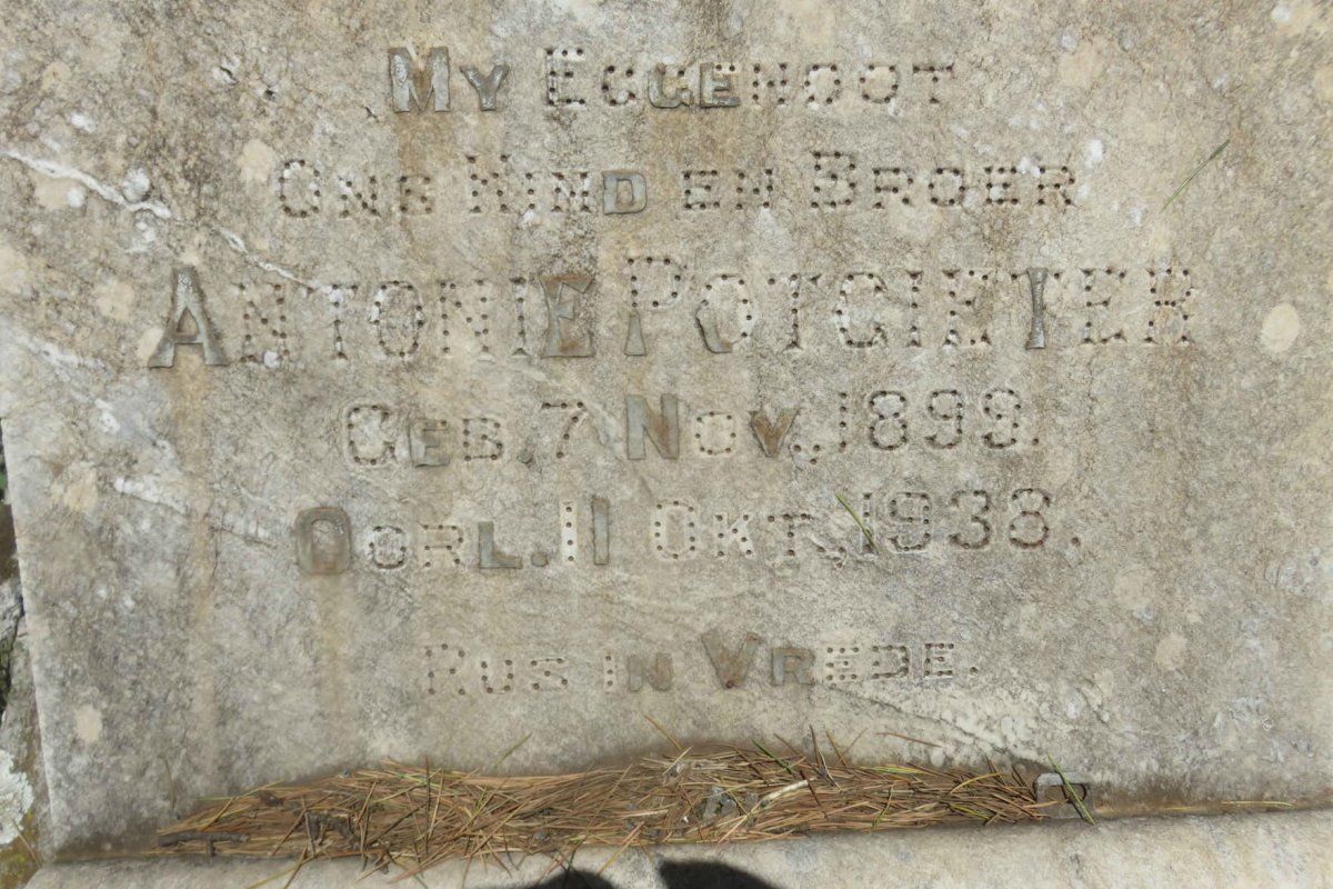 POTGIETER Antonie 1899-1933