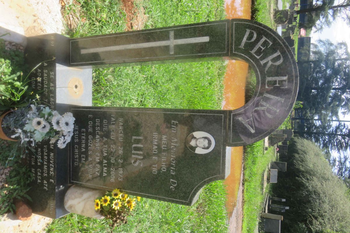 PEREIRA Luis 1973-2006