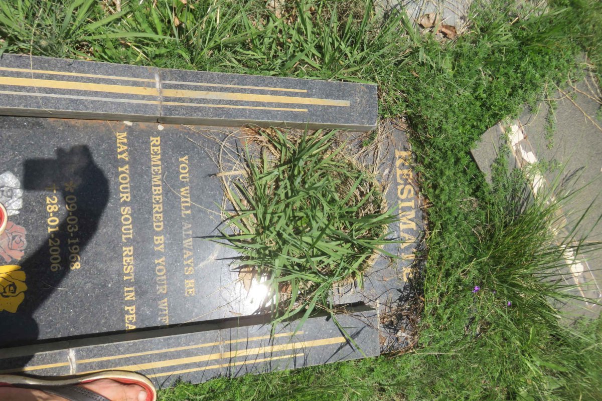 RESIMATE ? 1968-2006