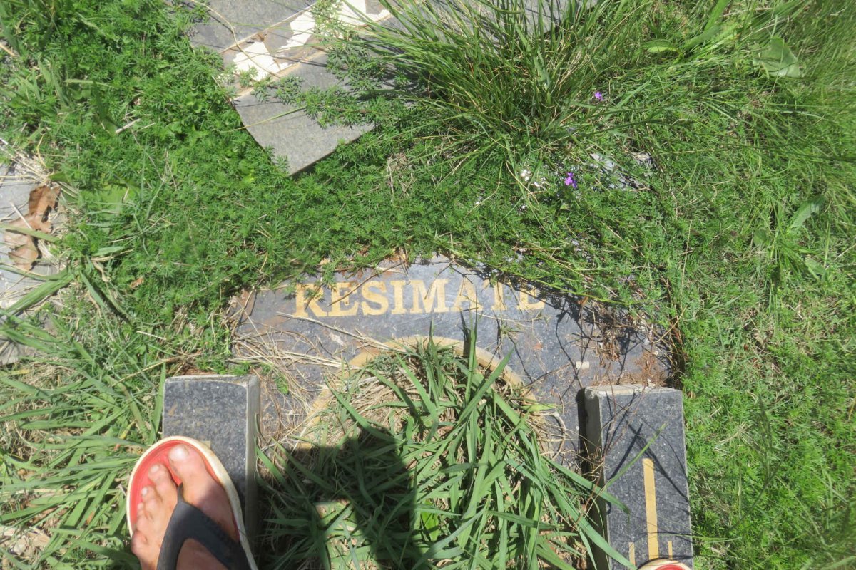 RESIMATE ? 1968-2006