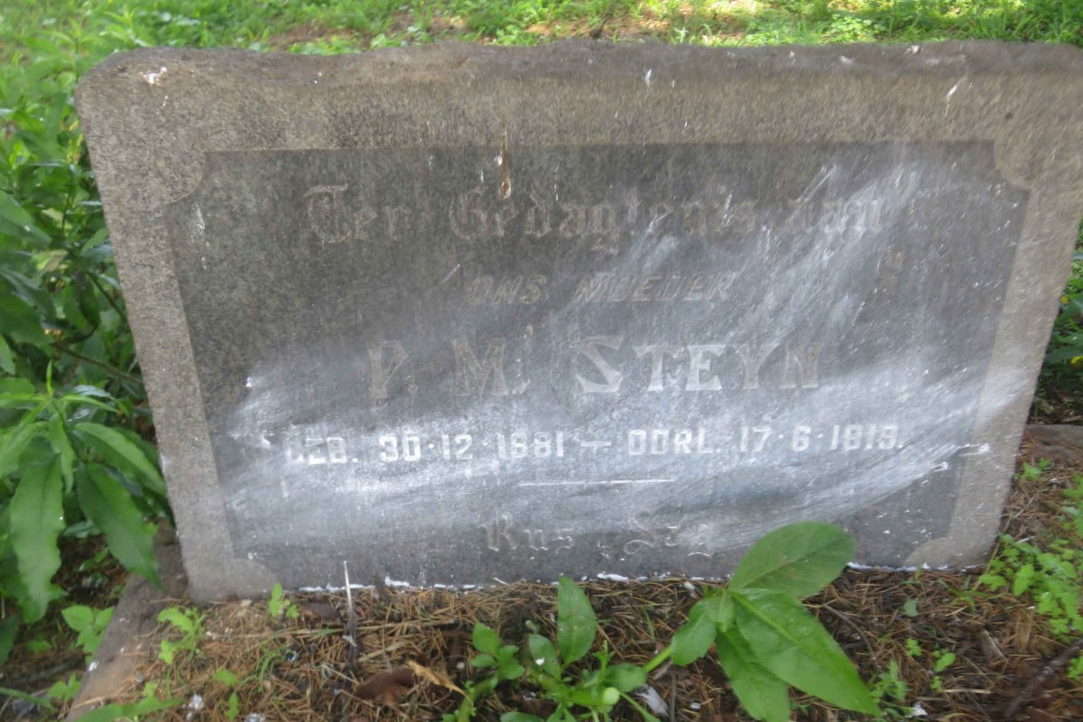 STEYN P.M. 1881-1919