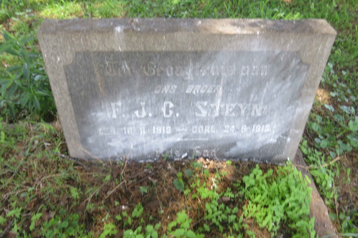 STEYN F.J.C. 1919-1919