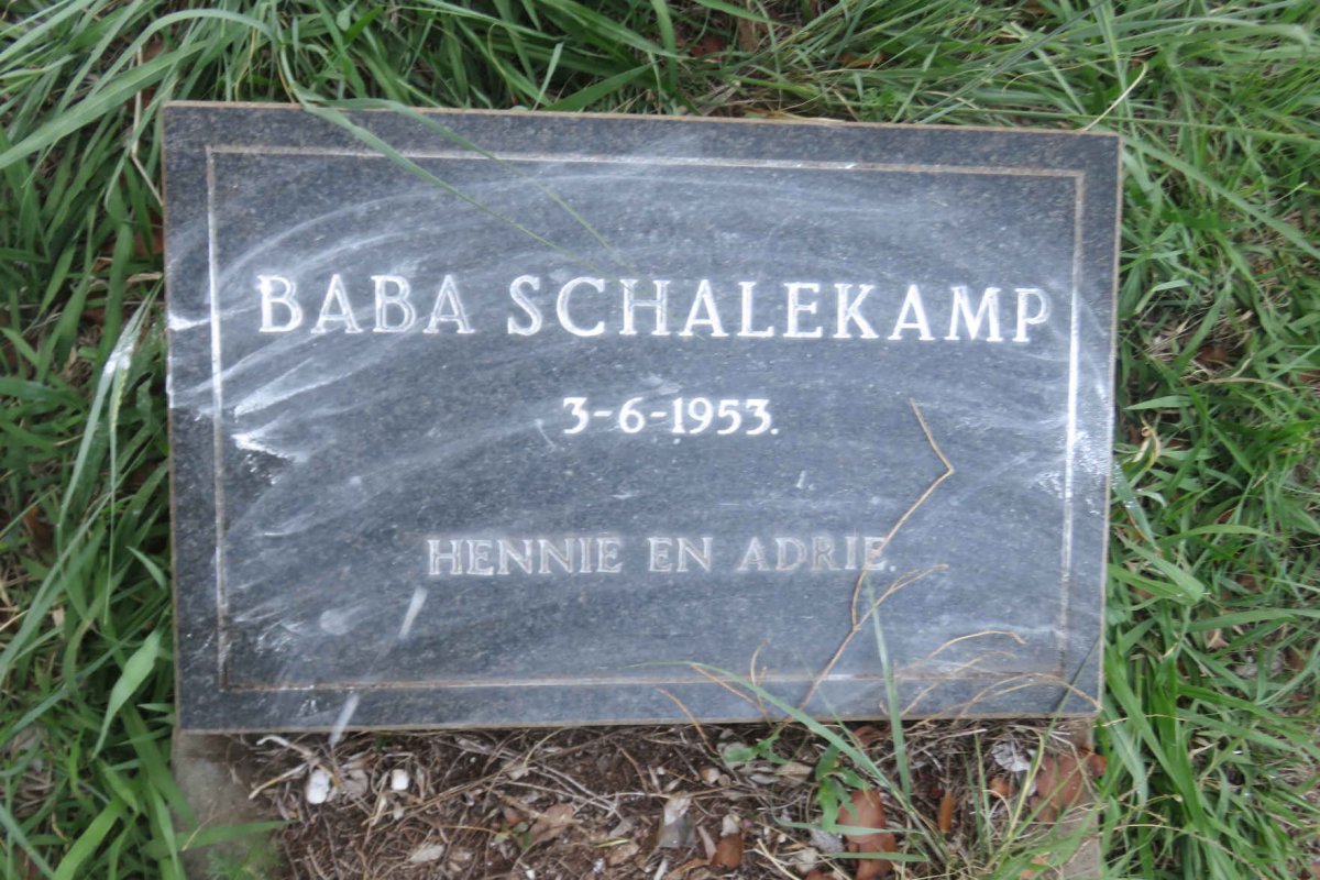 SCHALEKAMP 1953-1953