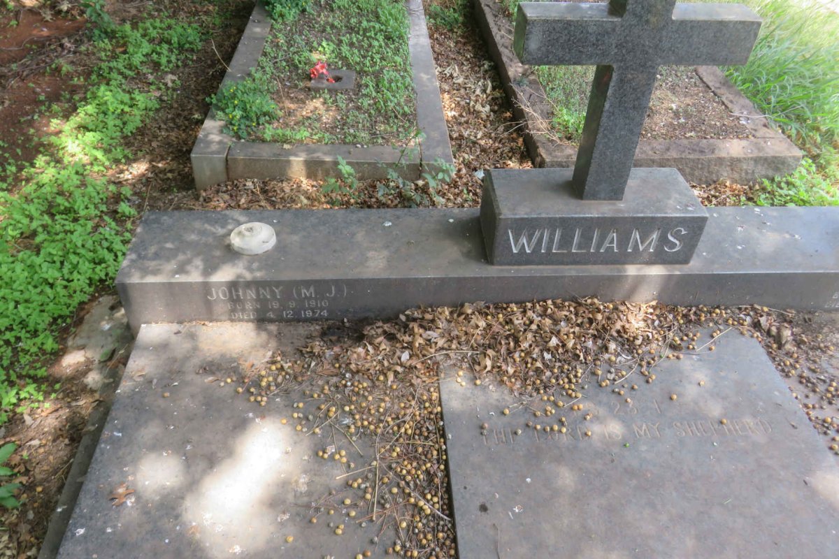 WILLIAMS M.J. 1910-1974 &amp; Anna 1914-2003