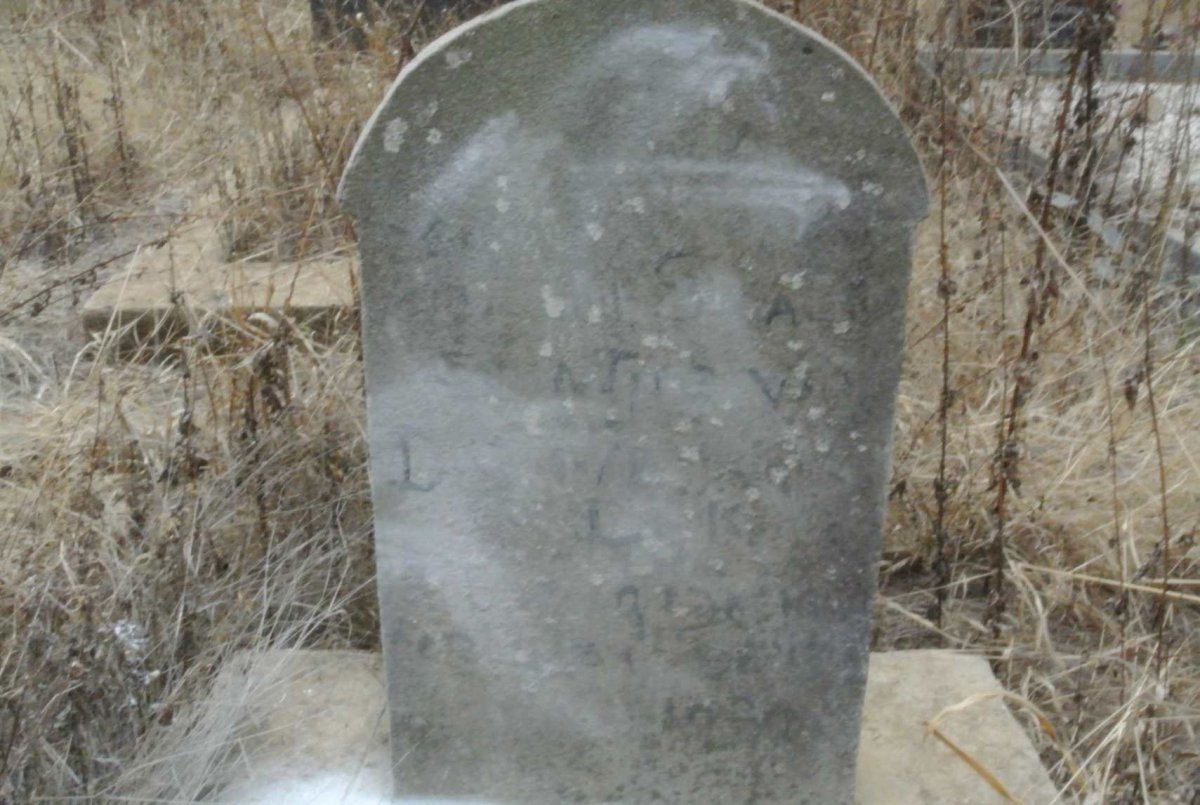 DYK David Schalk, van 1929-1930