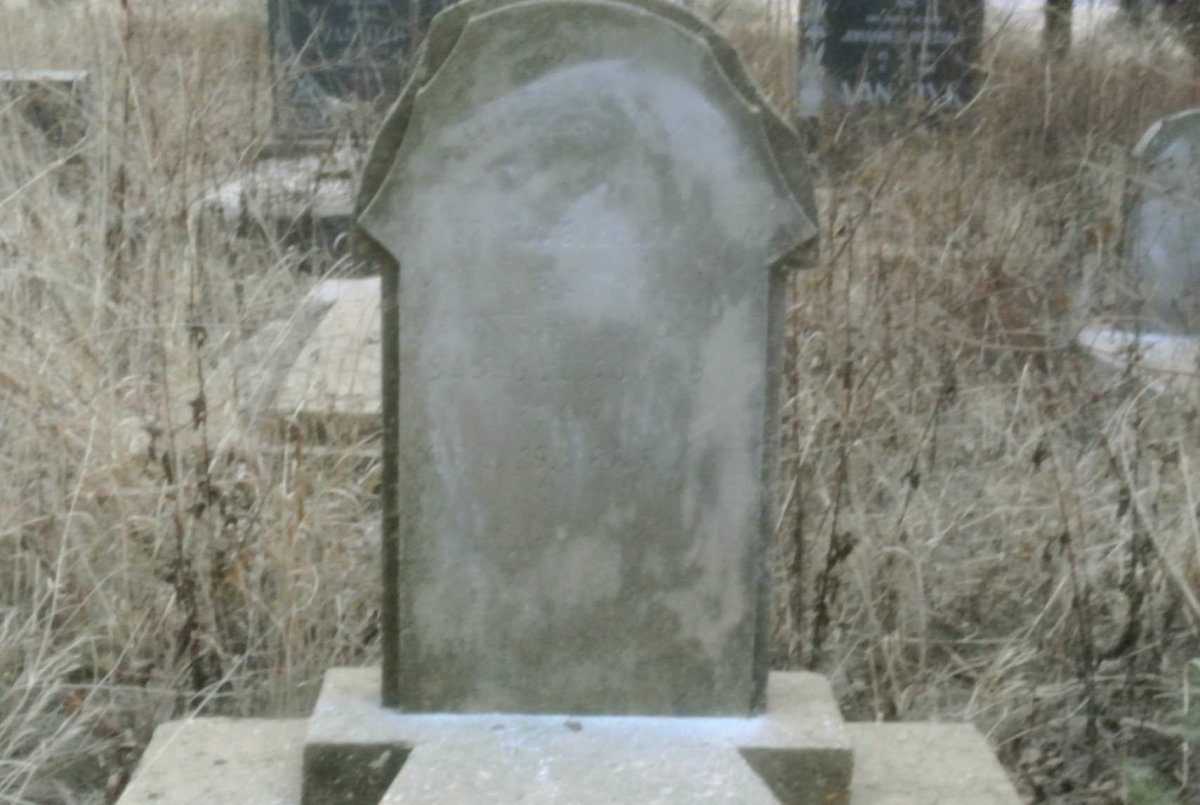 DYK Pieternella Johanna van, nee Venter 1865-1909