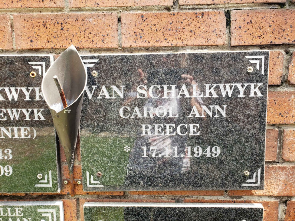SCHALKWYK Carol Ann Reece, van 1949-