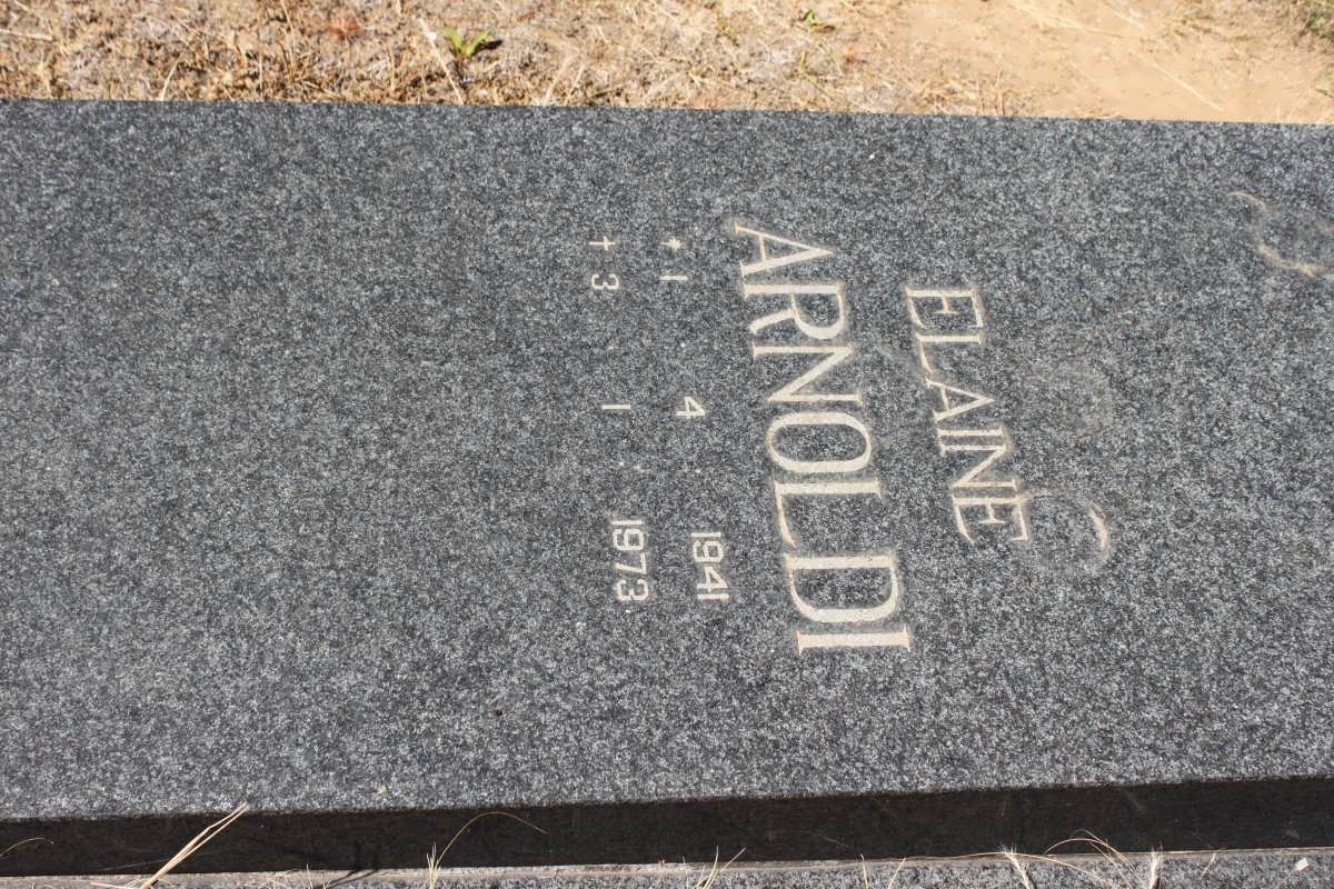 ARNOLDI Elaine 1941-1973