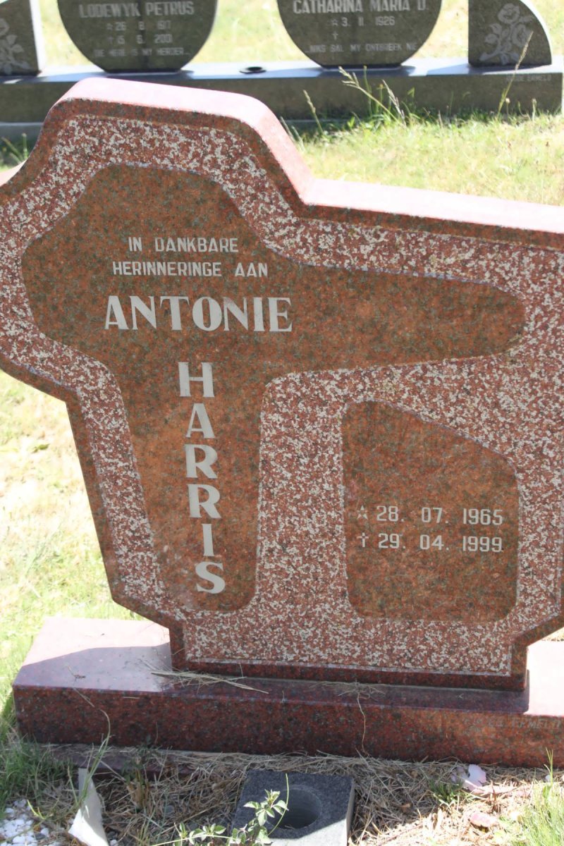 HARRIS Antonie 1965-1999