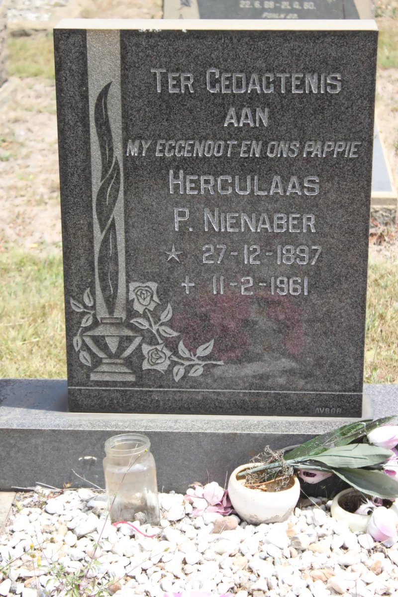 NIENABER Herculaas P. 1897-1961
