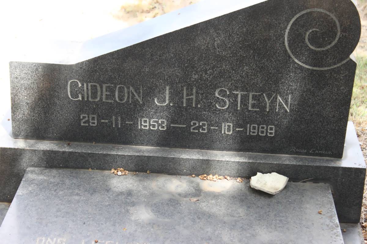 STEYN Gideon J.H. 1953-1989