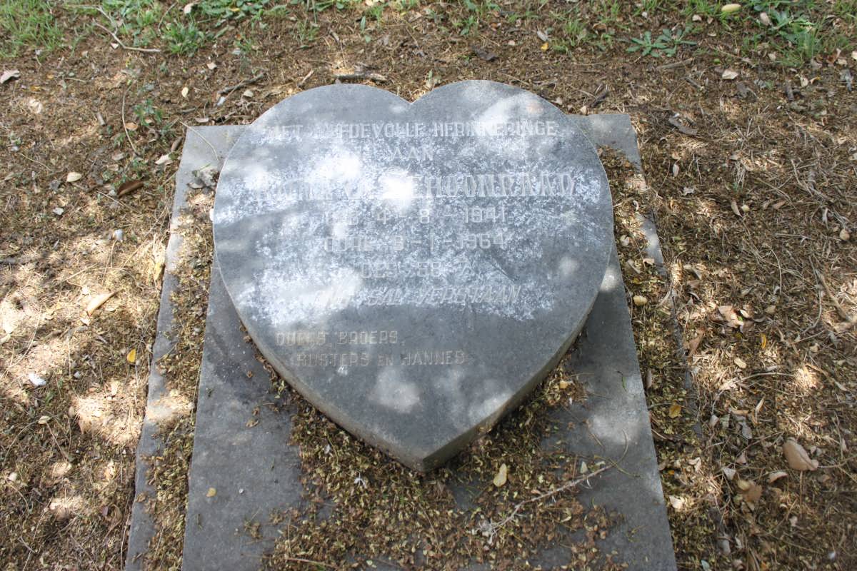 SCHOONRAAD 1941-1964