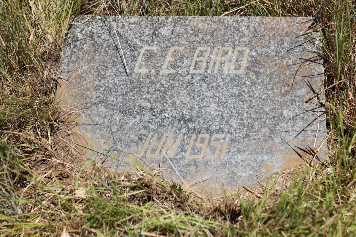 BIRD C.E. -1951