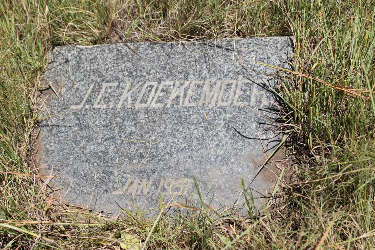 KOEKEMOER J.C. -1951