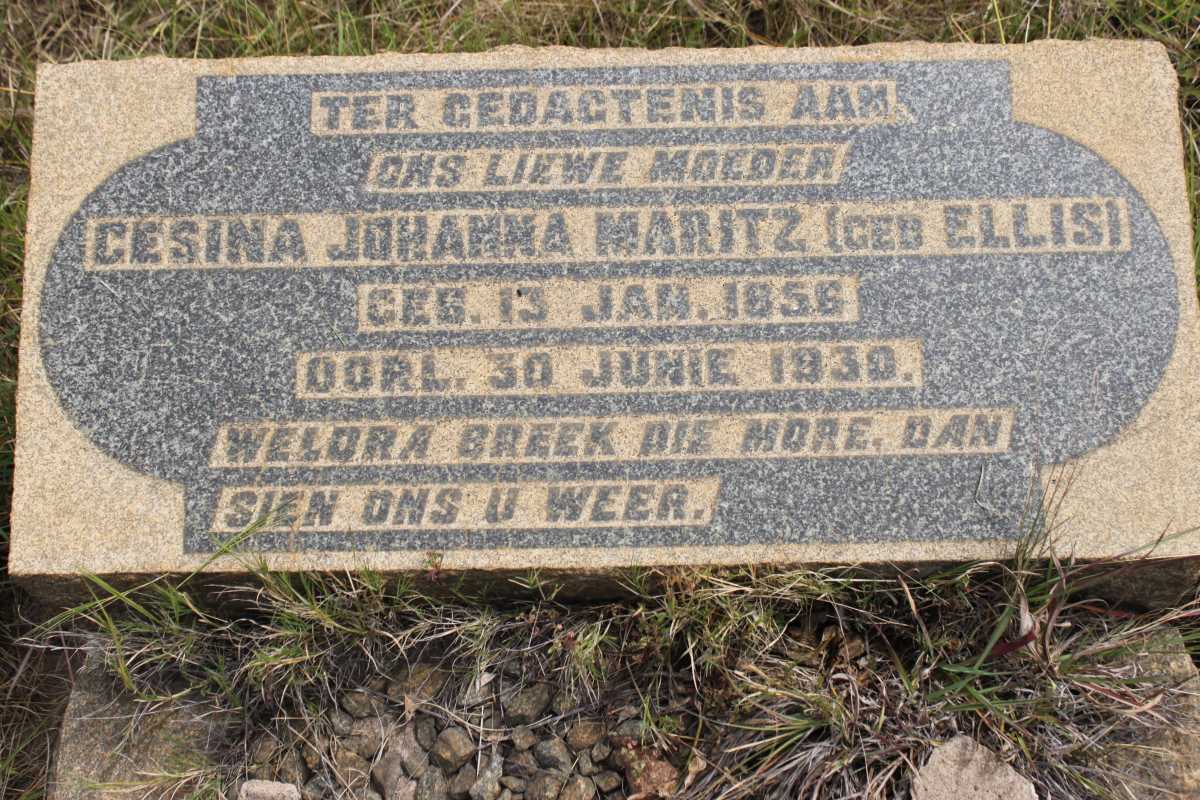 MARITZ Gesina Johanna geb ELLIS 1856-1930