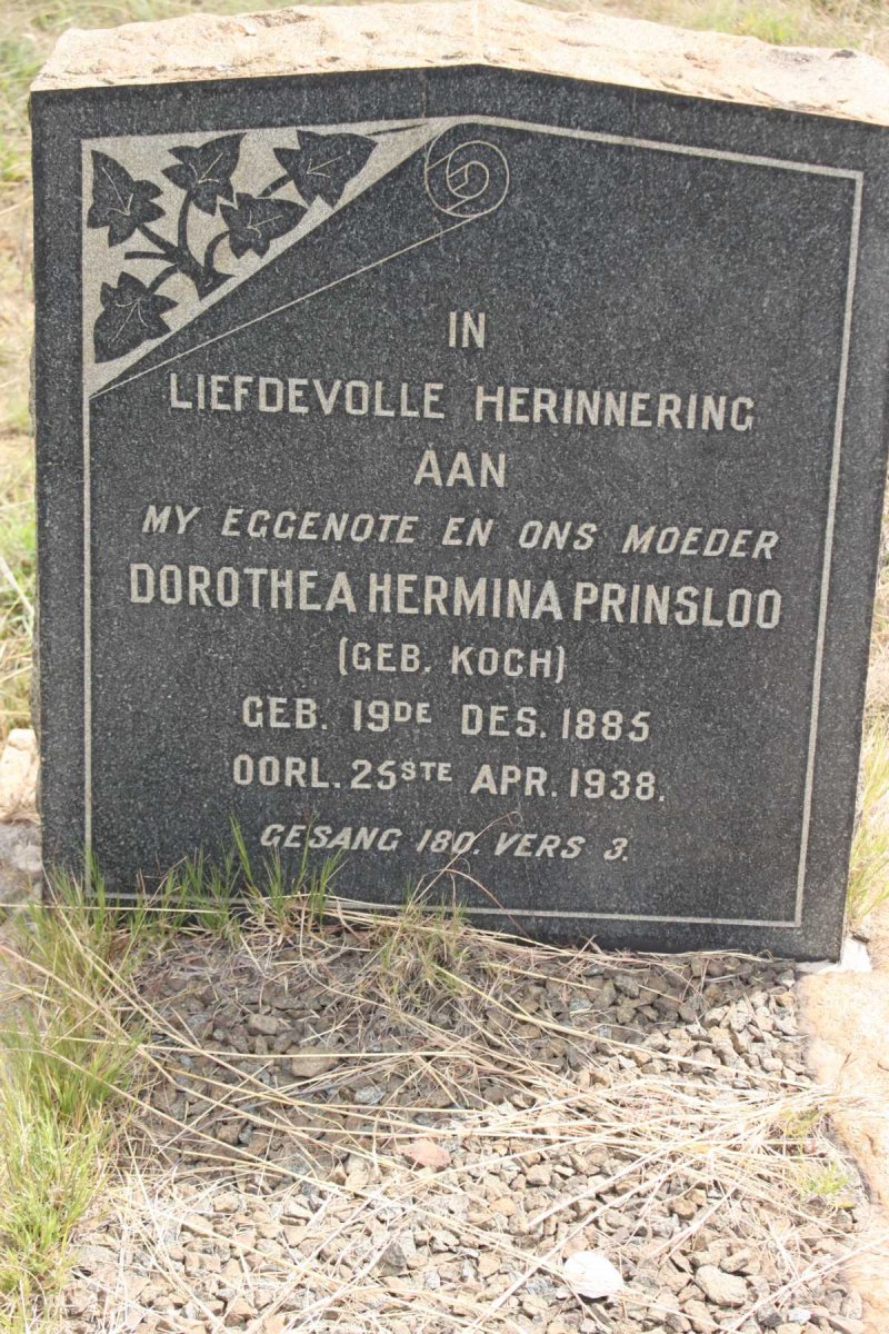 PRINSLOO Dorothea Hermina nee KOCH 1885-1938