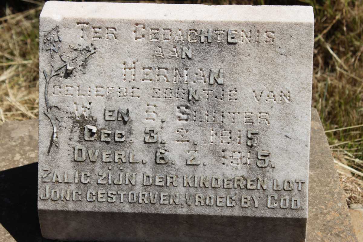 SLUITER Herman 1915-1915