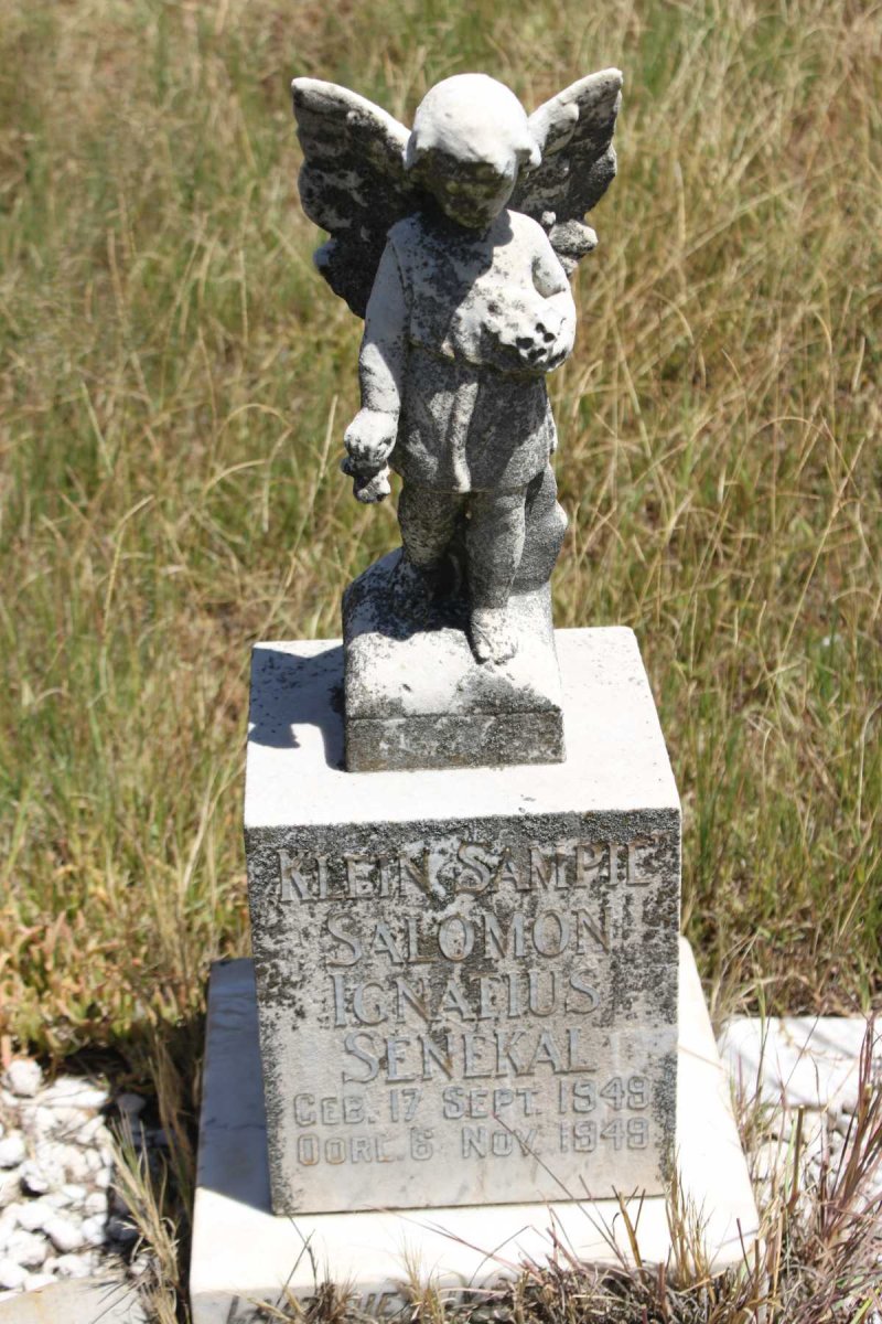 SENEKAL Salomon Ignatius 1949-1949