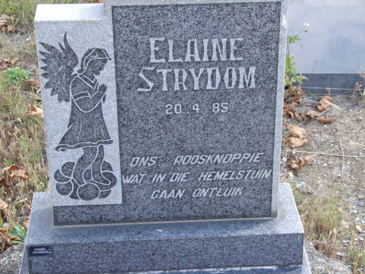 STRYDOM Elaine 1985-1985