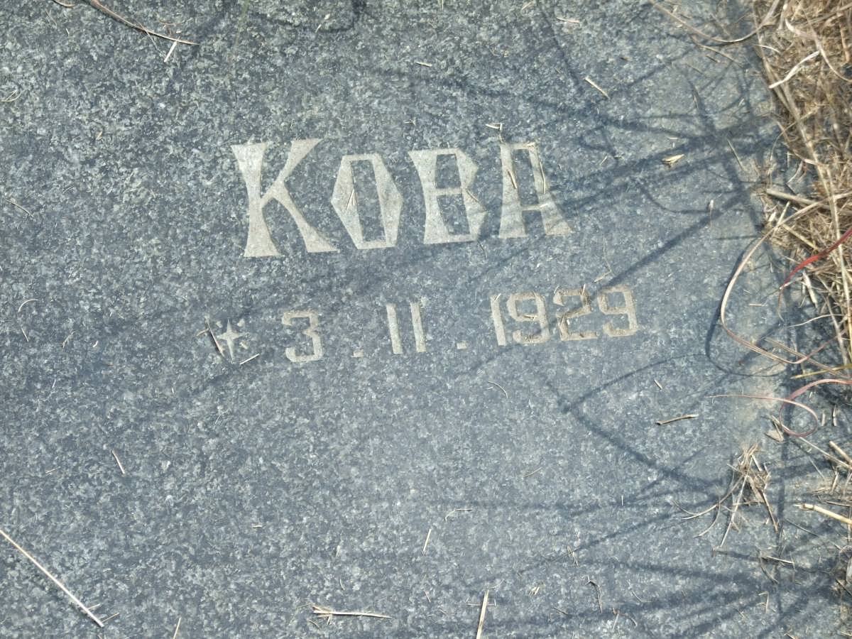 SCHALKWYK Koba, van 1929-