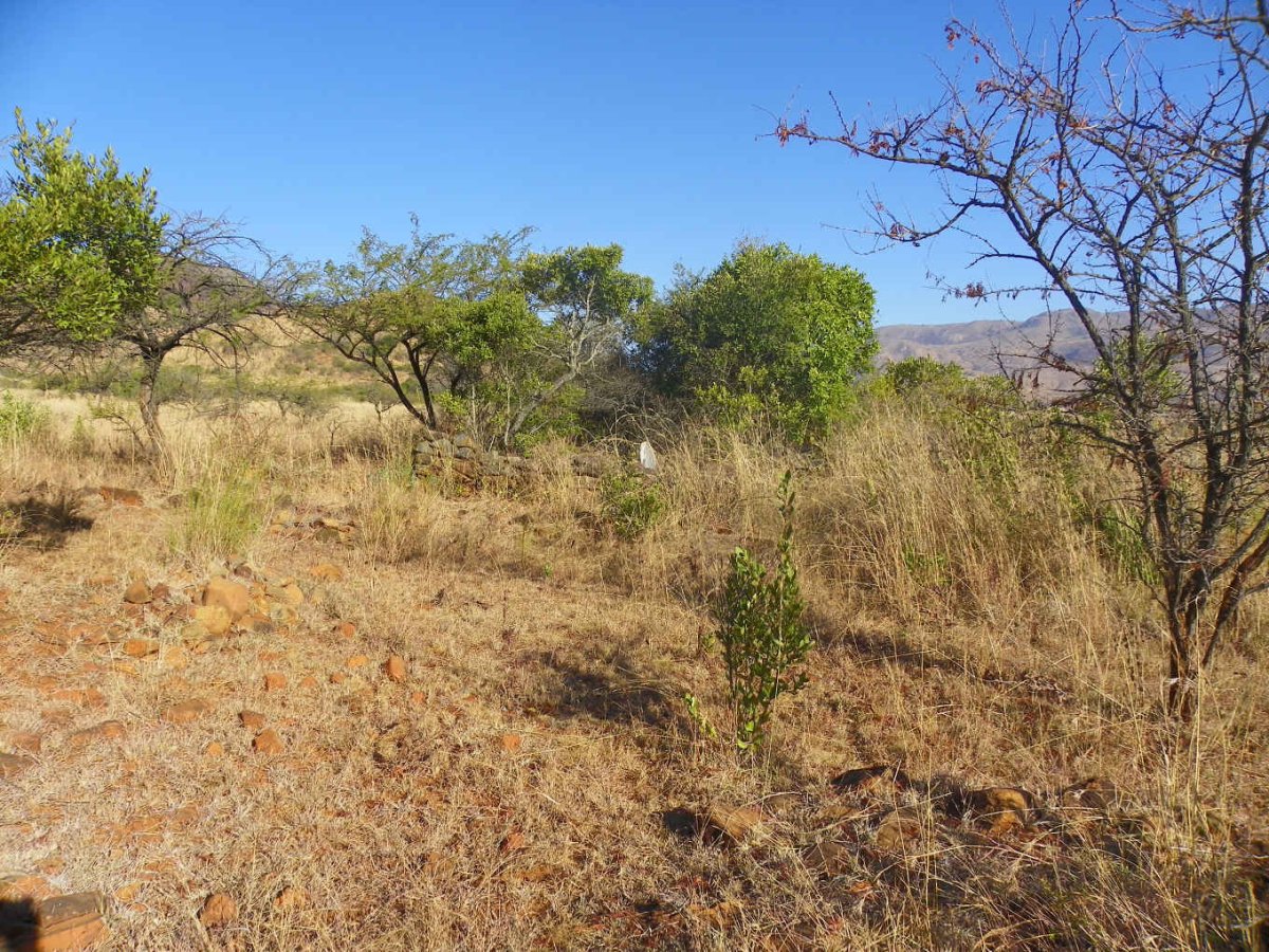 3. Overview