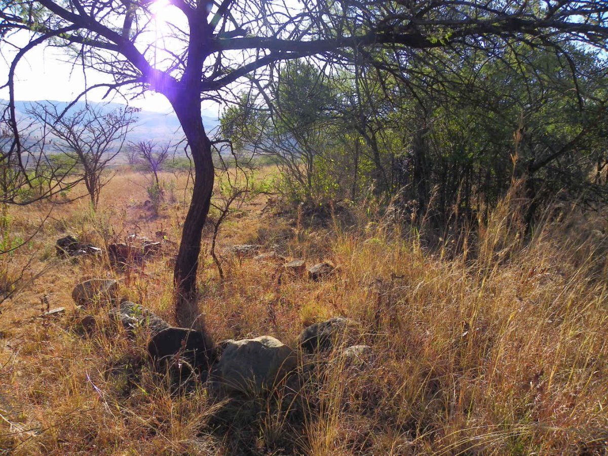 5. Unmarked graves