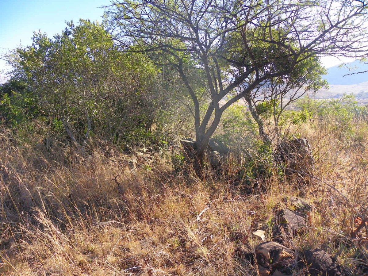 4. Unmarked graves