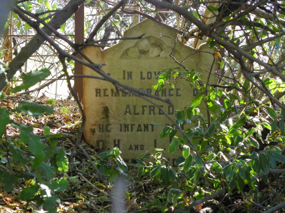 KOLL Alfred