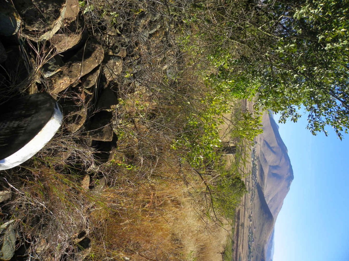 2. Overview