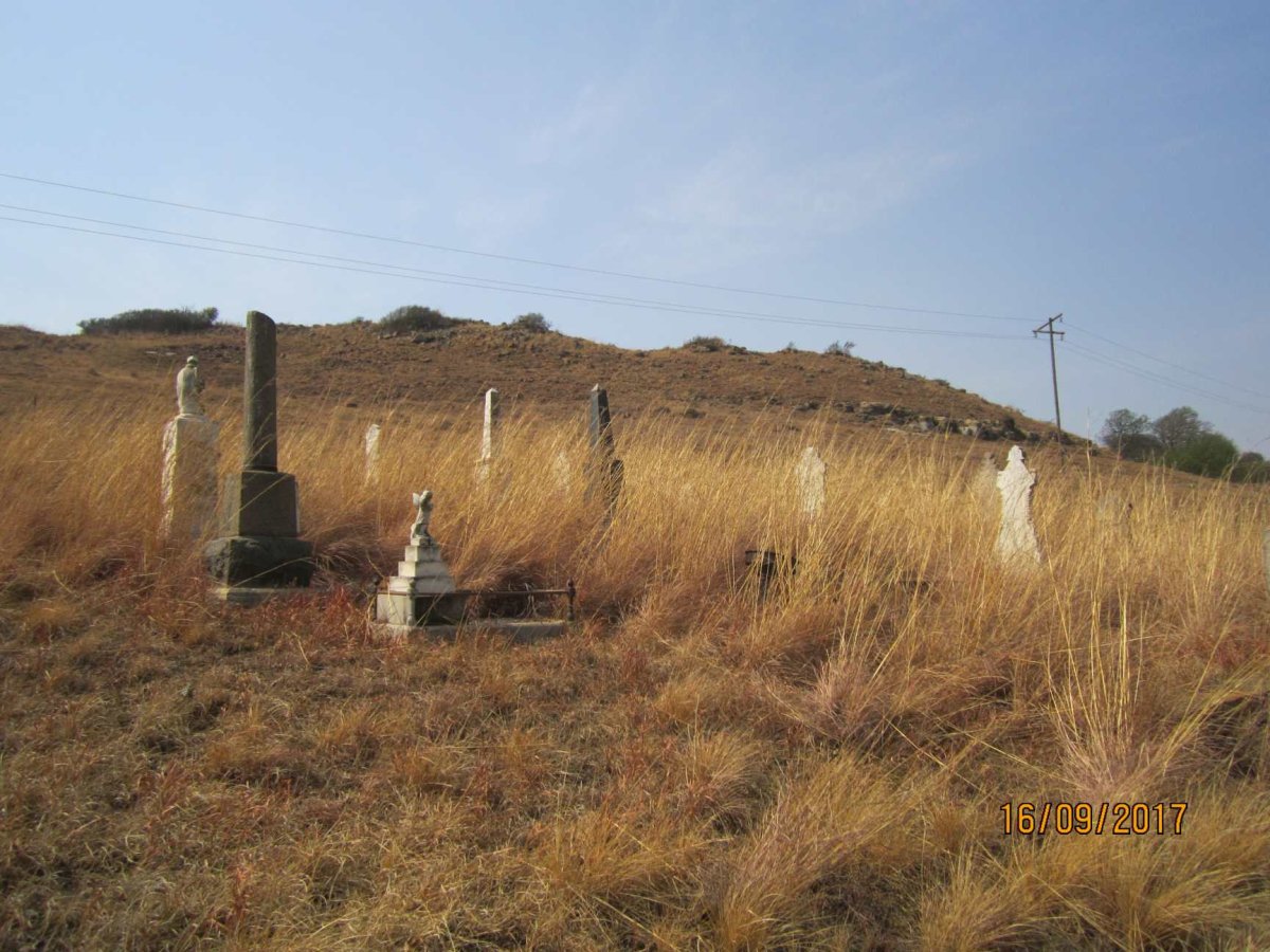 2. Overview