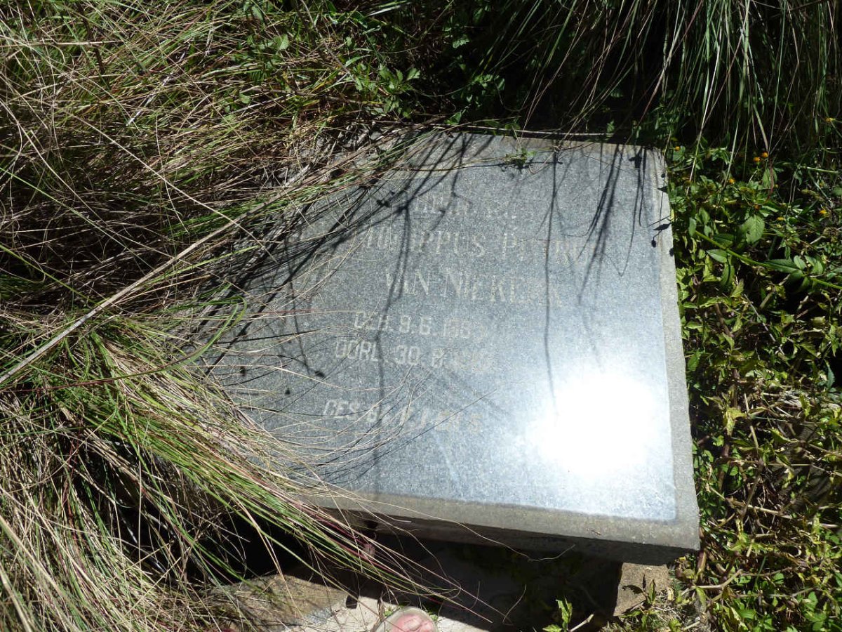 NIEKERK Philippus Petrus, van 1893-1964