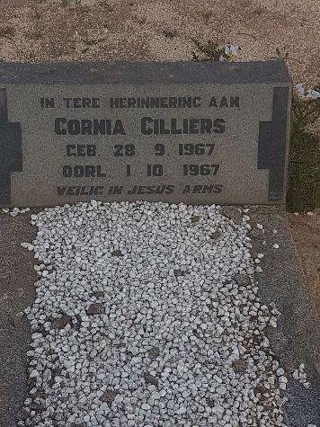 CILLIERS Cornia 1967-1967