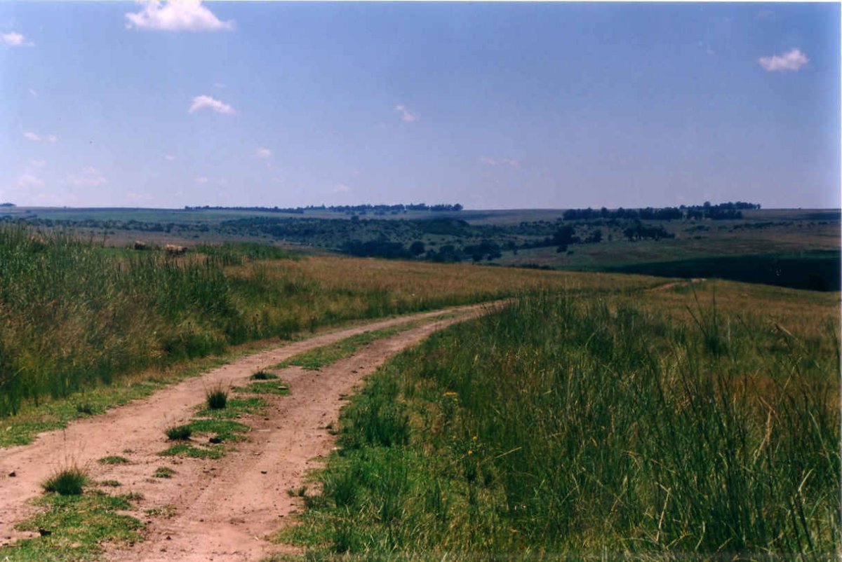 1. Overview