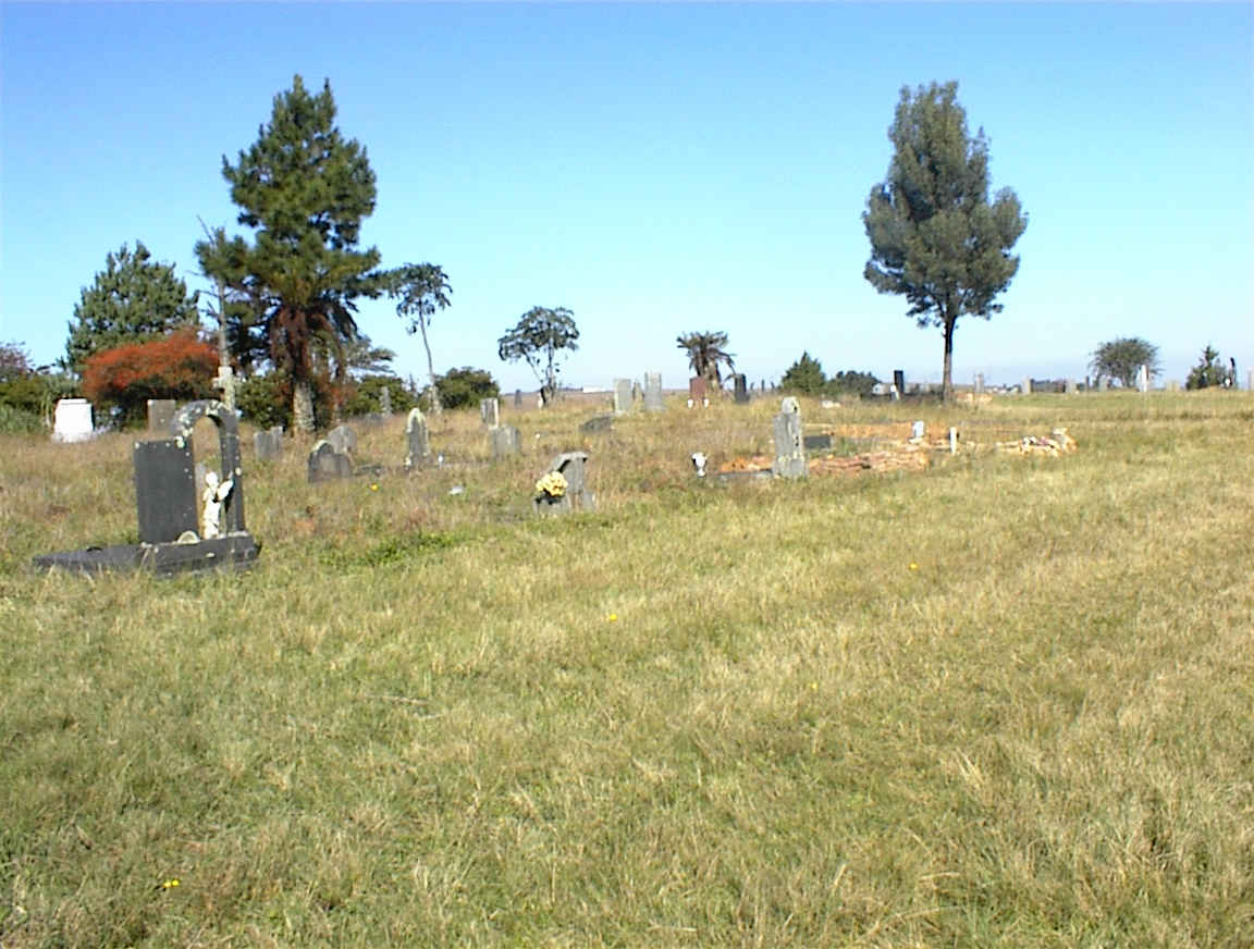 DSC00001